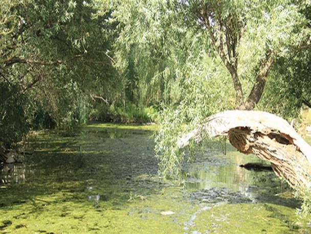 چشمه درگزین