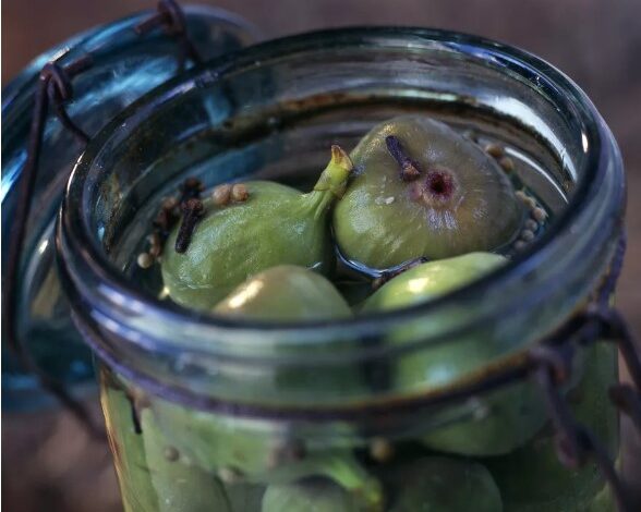 طرز تهیه ترشی انجیر