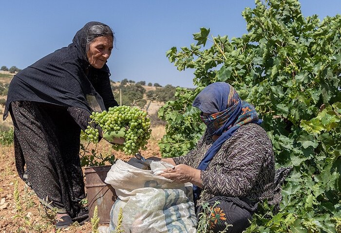 گردشگری کشاورزی