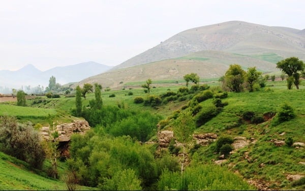 روستاهای شاهین دژ