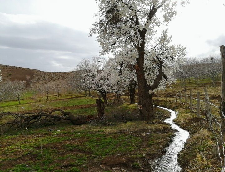 زندگی عشایری