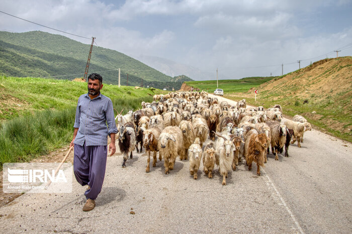 زندگی عشایری