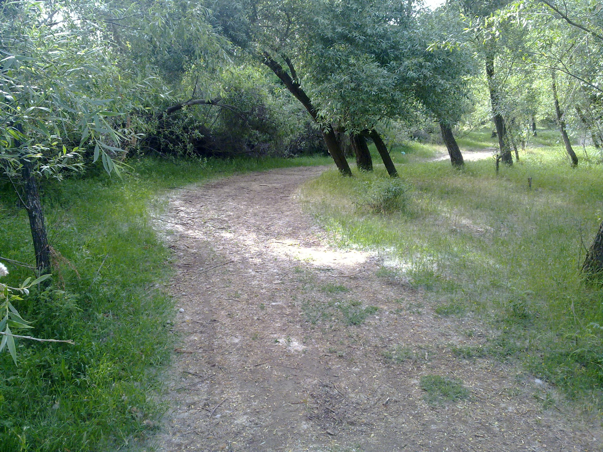 روستاهای مهاباد