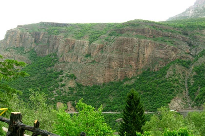 جنگل های چهارباغ