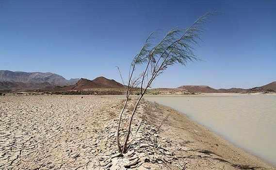 سیری در بیرجند