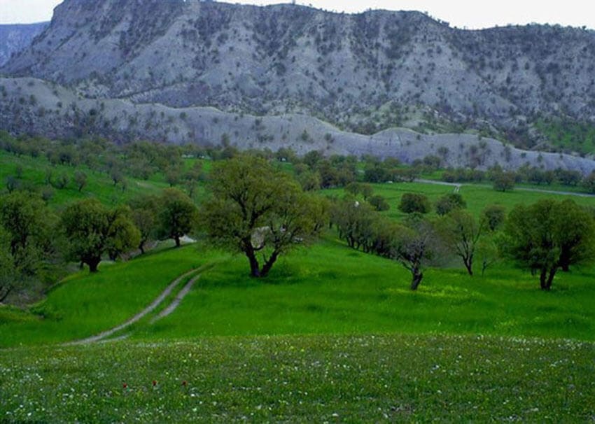 سیری در ایلام