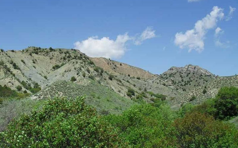 سیری در بجنورد