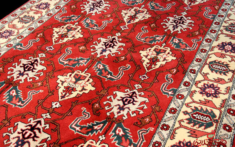 سیری در بجنورد