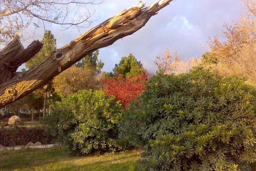 سیری در ایلام