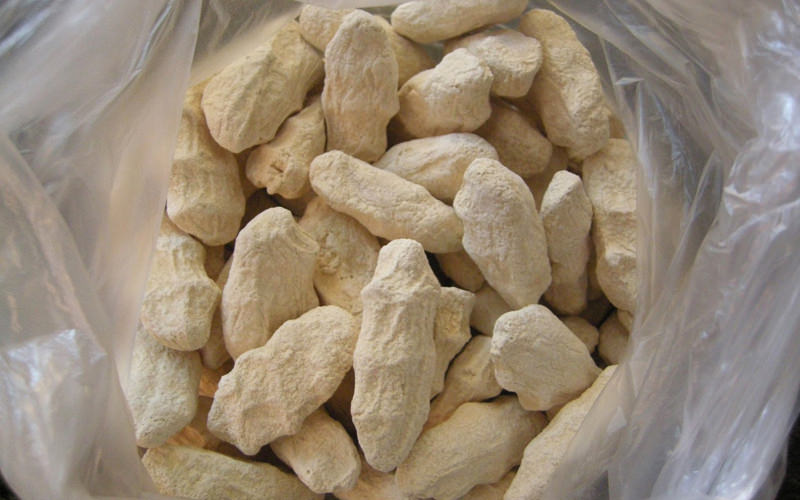 سیری در بیرجند