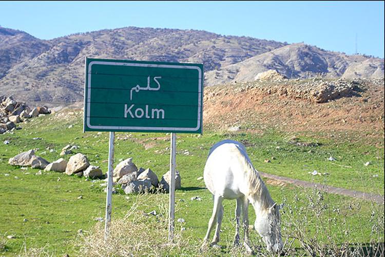 سیری در ایلام