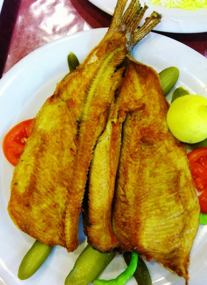 سیری در زنجان سیری در زنجان