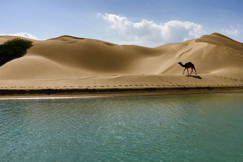 سیری در چابهار سیری در چابهار