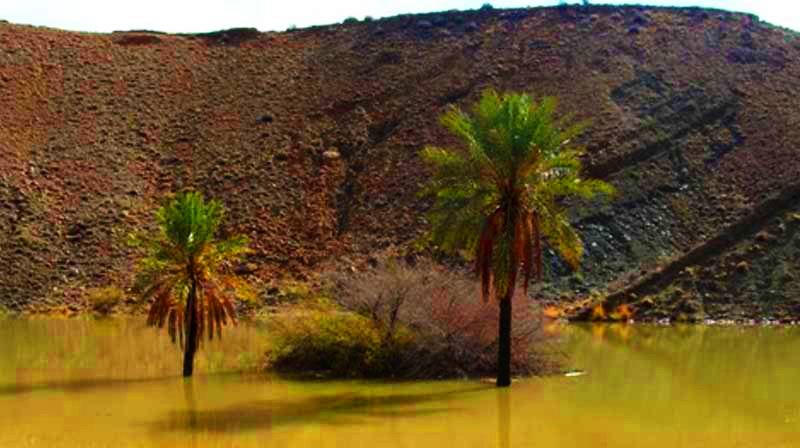 سیری در بندرعباس
