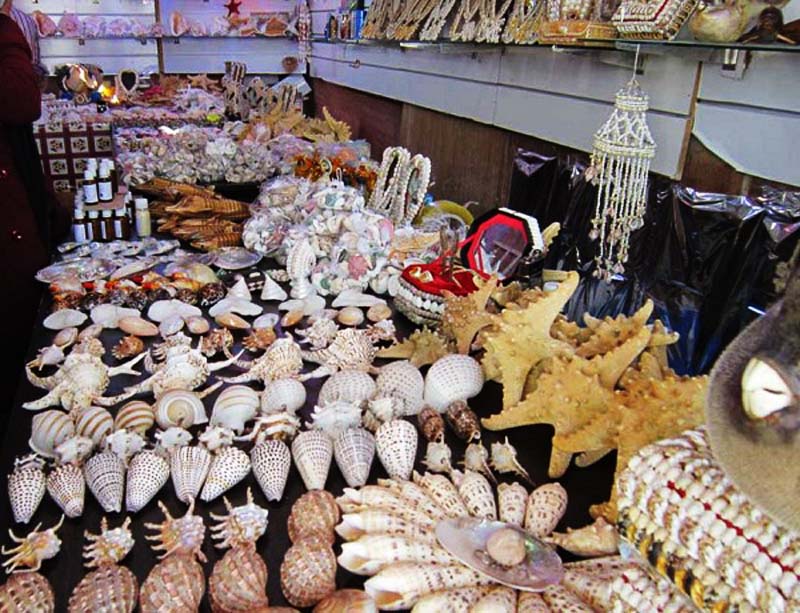 سیری در کیش