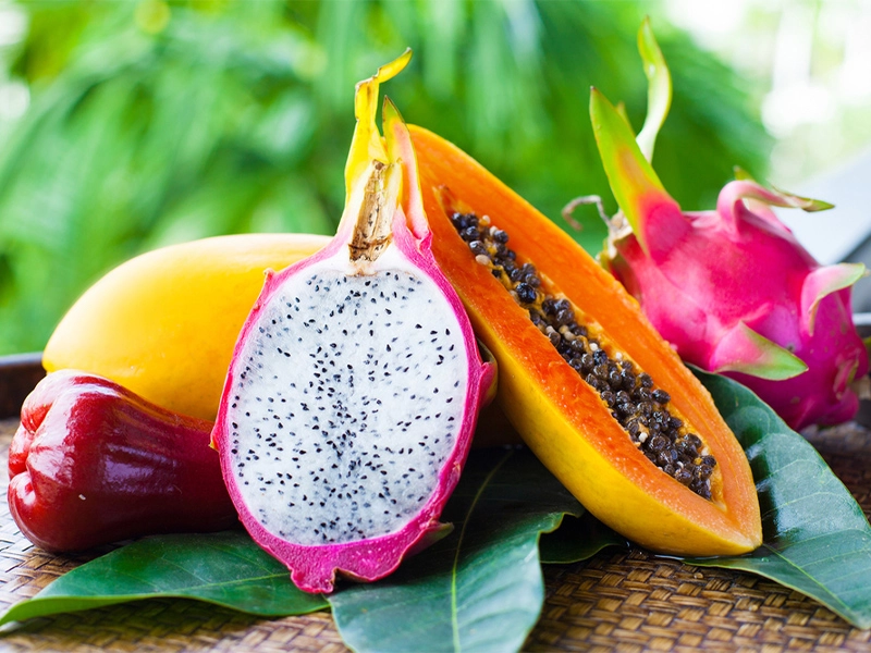 سیری در چابهار سیری در چابهار