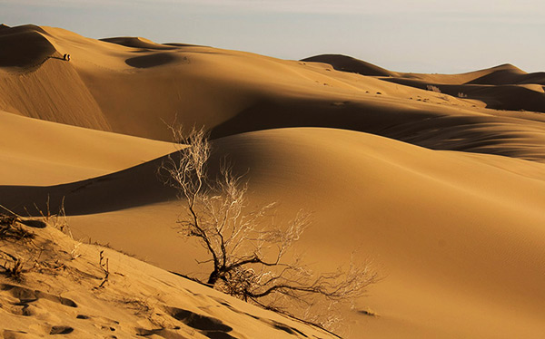 جاهای دیدنی قم