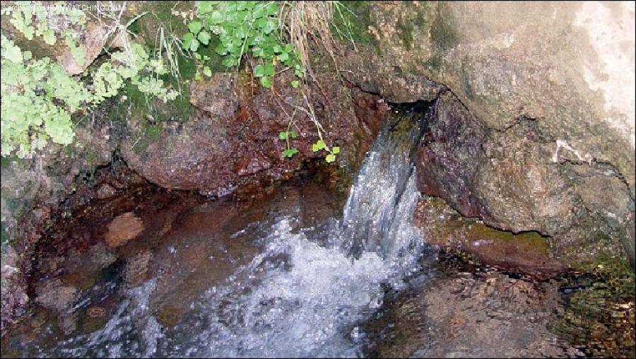 سیری در زاهدان سیری در زاهدان