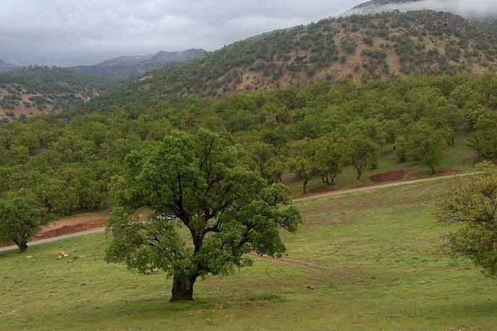 سیری در یاسوج 