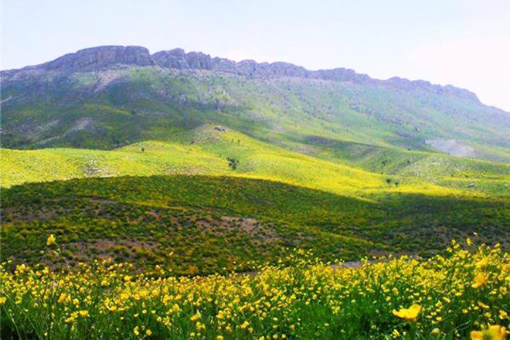 سیری در یاسوج