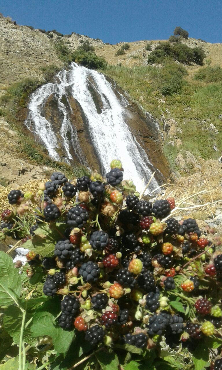 آبشار سیبه خانی آبشار سیبه خانی