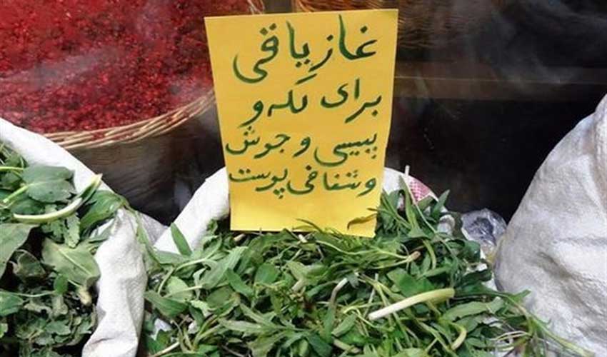 سیری در زنجان سیری در زنجان