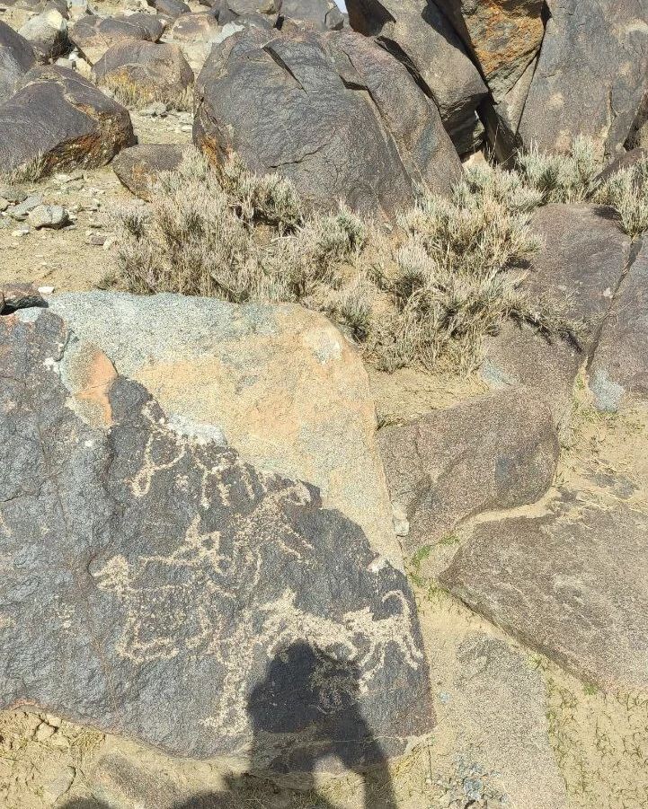 کمر مقبولای طرقبه