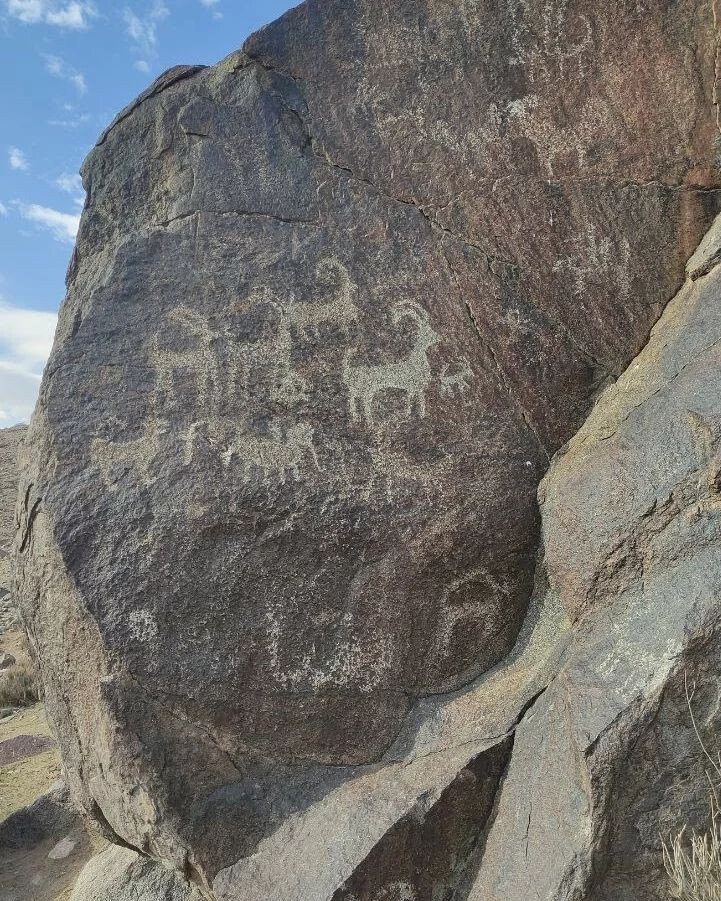 کمر مقبولای طرقبه