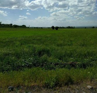 سیری در اردبیل