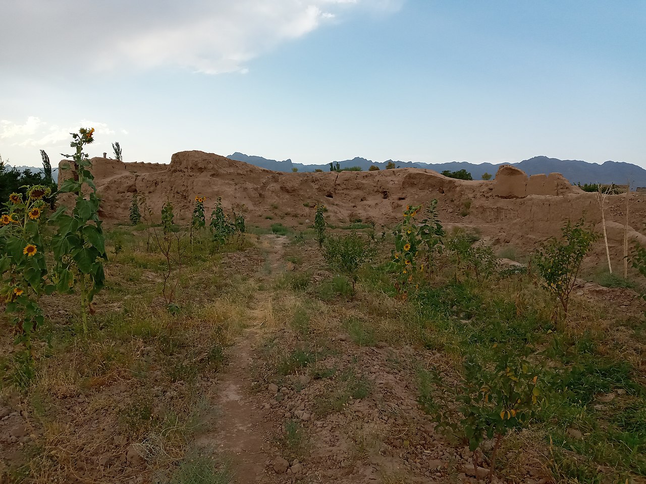 قلعه ‌کهنه توزنده ‌جان