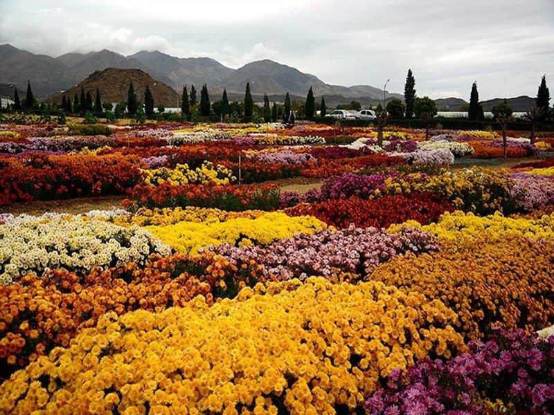 سیری در محلات سیری در محلات
