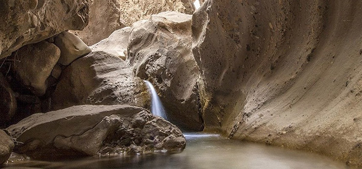 سیری در رفسنجان