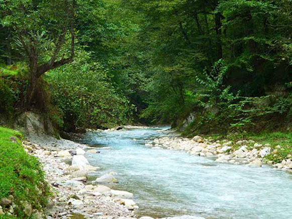 سیری در آمل سیری در آمل