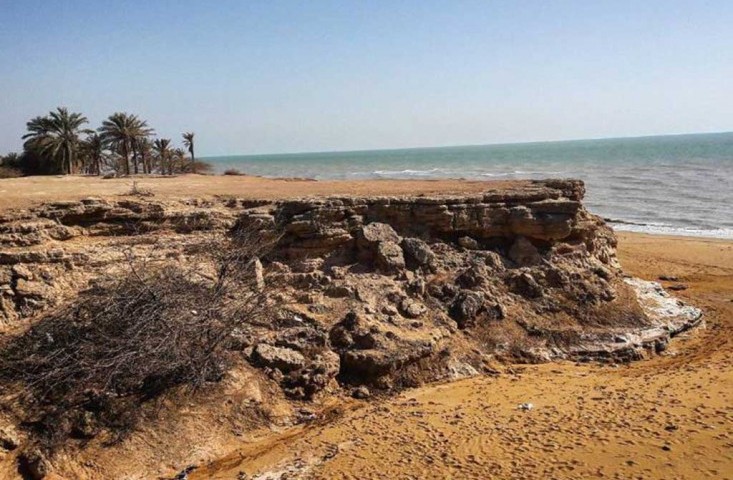 جنگل چاهک بندرگناوه جنگل چاهک بندرگناوه