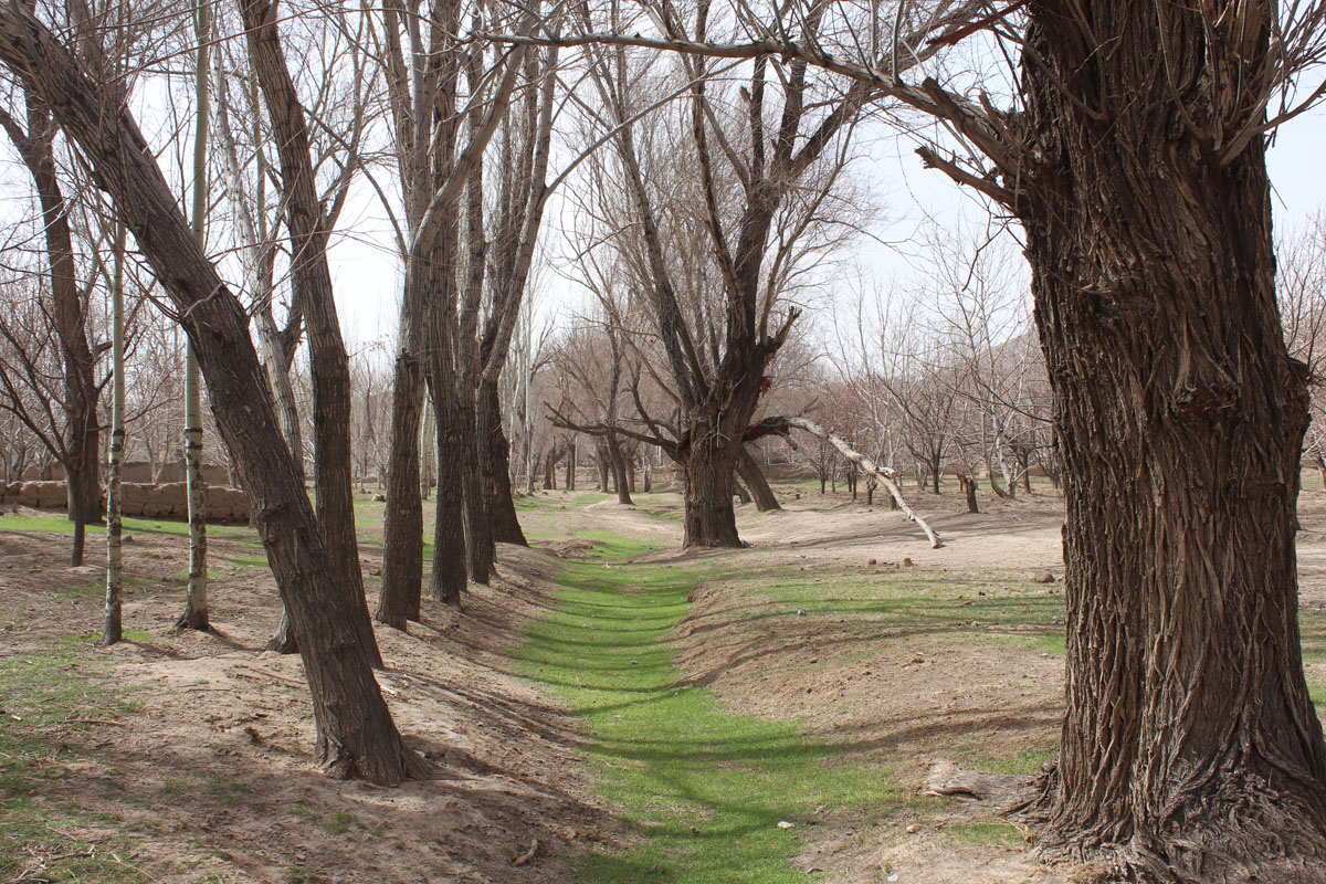 دره دریز رشتخوار دره دریز رشتخوار