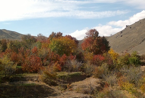 سیری در سبزوار سیری در سبزوار