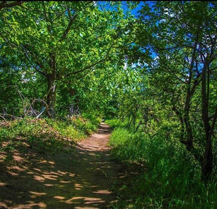سیری در سبزوار سیری در سبزوار