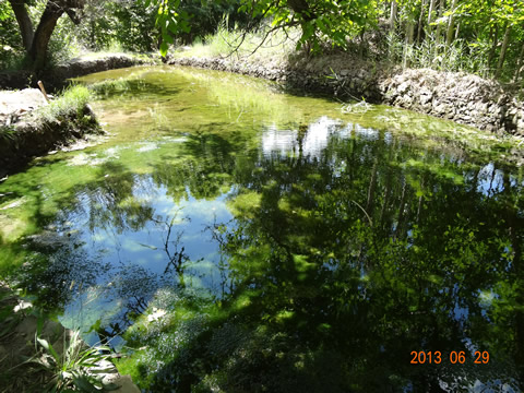 روستای درفک خوشاب روستای درفک خوشاب