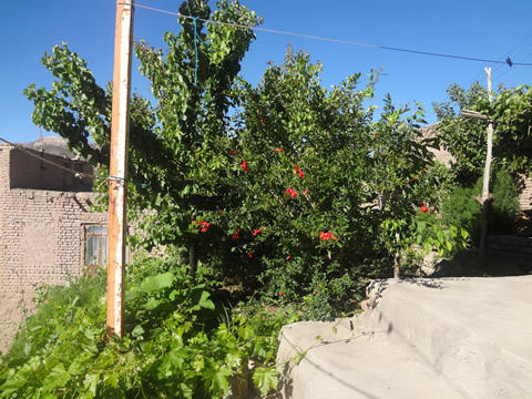 روستای درفک خوشاب روستای درفک خوشاب