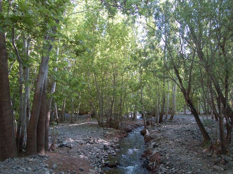 سیری در سبزوار سیری در سبزوار