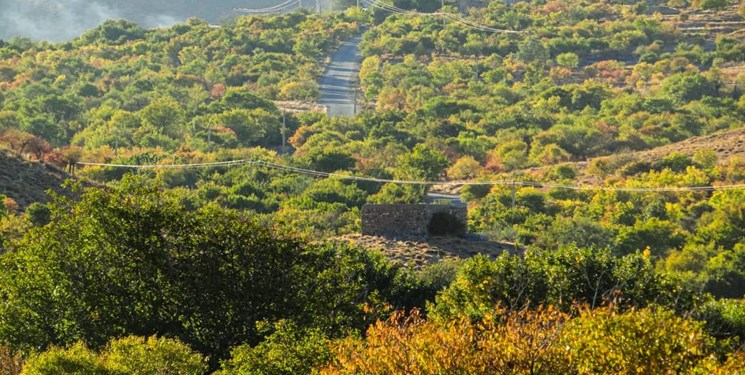 سیری در رفسنجان