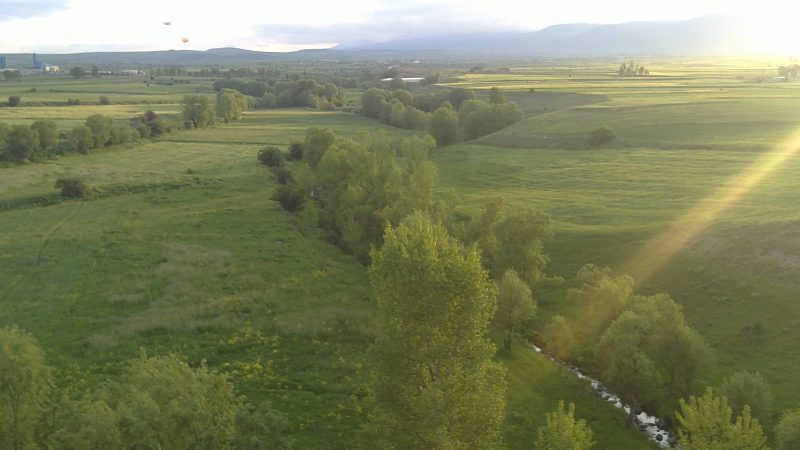 سیری در رفسنجان