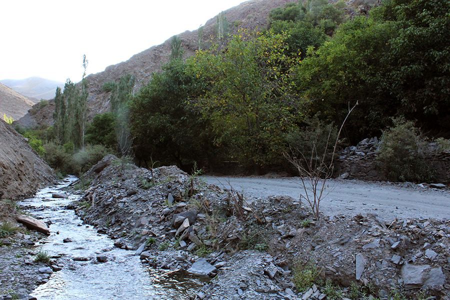 روستای کردینه طرقبه
