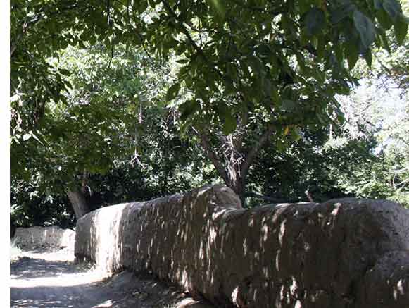 سرحد جغتای سرحد جغتای