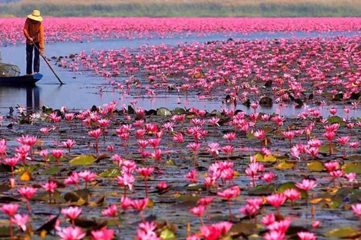 سیری در بندرانزلی سیری در بندرانزلی