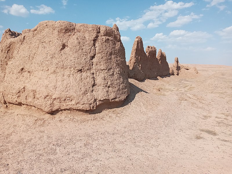 قلعه ریگ کاشمر