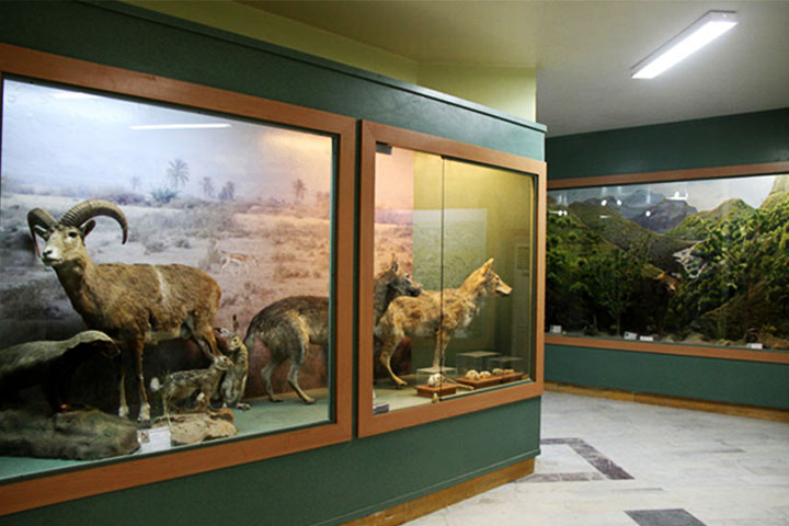 سیری در آبادان سیری در آبادان