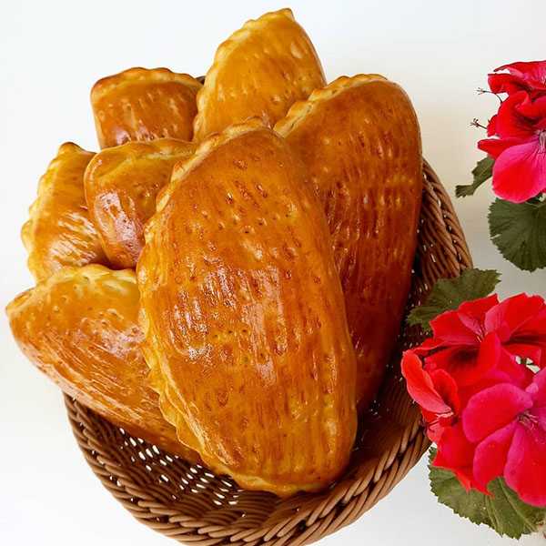 سیری در آستارا سیری در آستارا