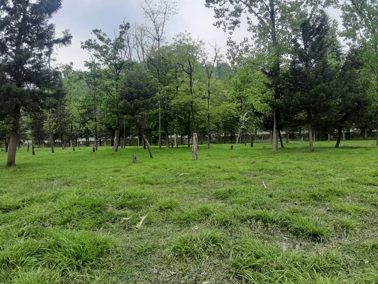 سیری در آمل سیری در آمل