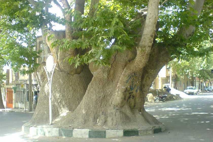 سیری در محلات سیری در محلات